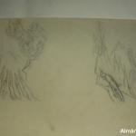 30f_D0226.JPG