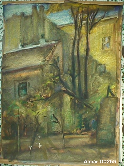 D0255.JPG