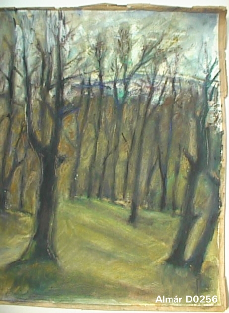 D0256.JPG