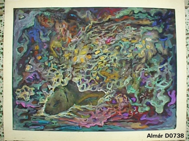 D0738.JPG