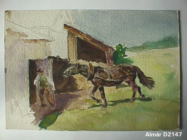 D2147.jpg