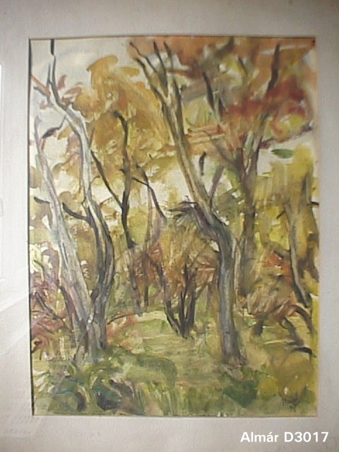 D3017.JPG