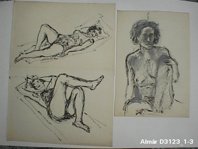 D3123_1-3.JPG