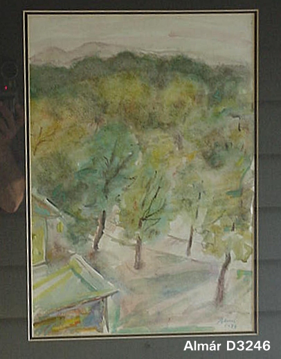 D3246.jpg