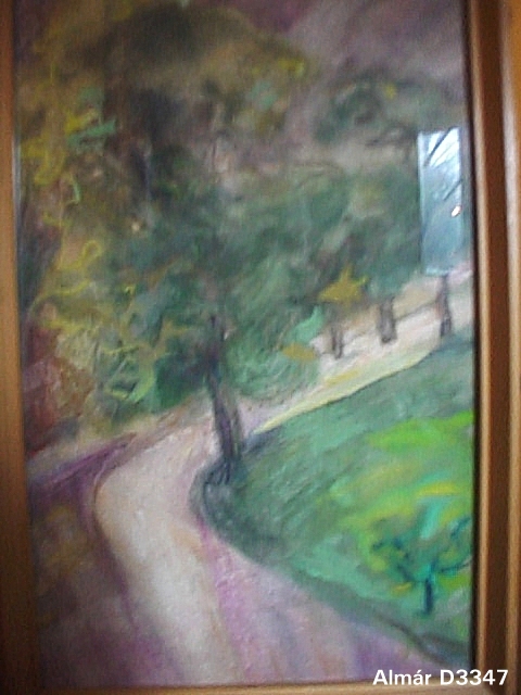 D3347.jpg